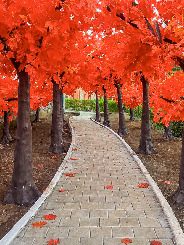 Autumn Garden